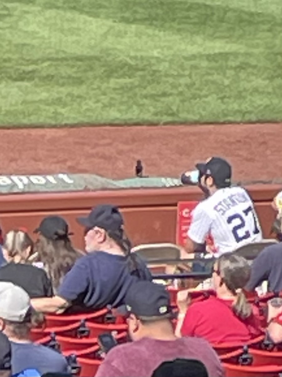 Common Grackle - ML608897537