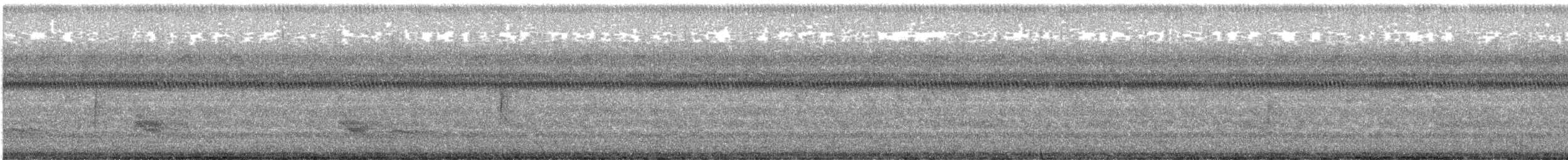 メジロハエトリ - ML608898138