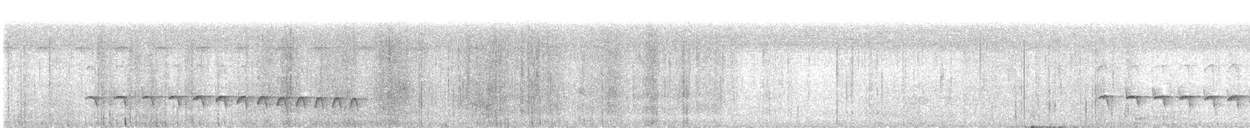 Kara Kuyruklu Karıncakuşu - ML608901963