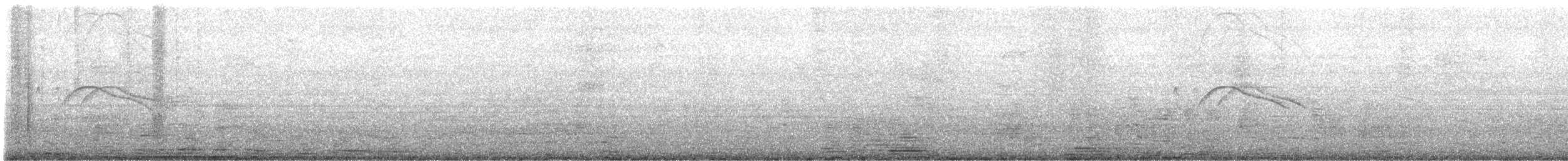 White-tailed Nightjar - ML608910992