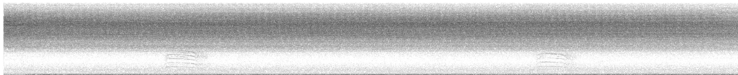 Пересмішник сірий - ML608914749