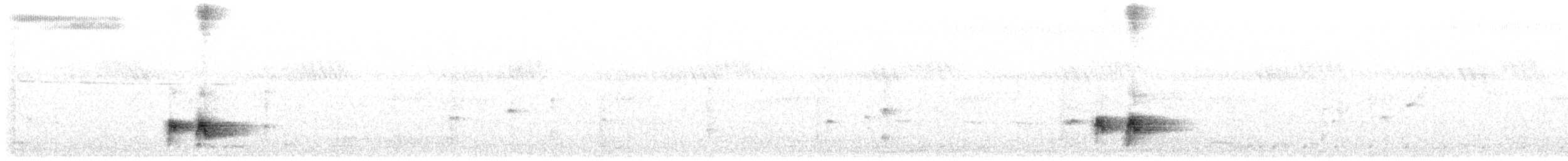 Амурская райская мухоловка - ML608923410