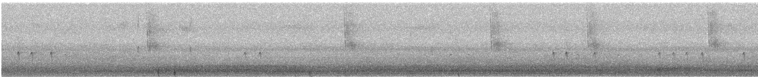 "Шишкар ялиновий (Northeastern, або тип 12)" - ML608928273