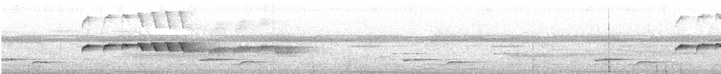 Grauscheitel-Ameisenvogel - ML608929758