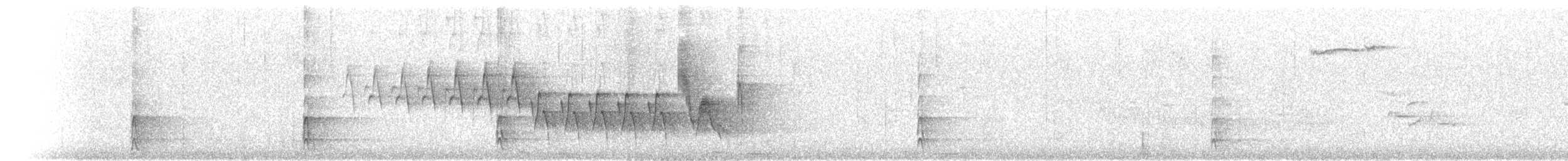 strakapoud bělohřbetý - ML608936377