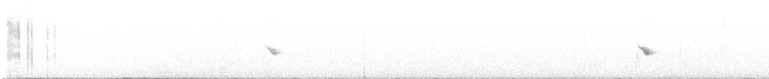 Дрізд-короткодзьоб канадський - ML608937969