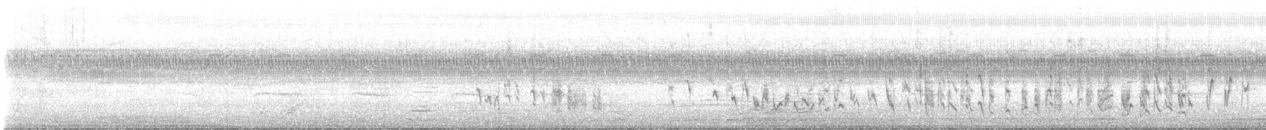 Northern House Wren - ML608950508
