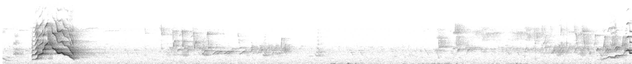 kakadu běloocasý - ML608971393