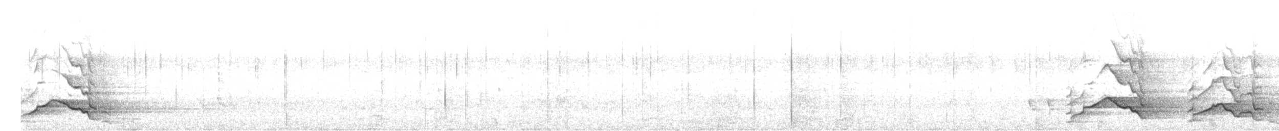 kakadu běloocasý - ML608971446