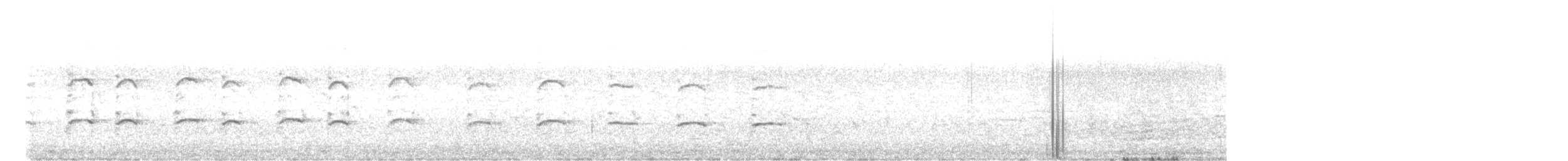 Square-tailed Kite - ML608971487