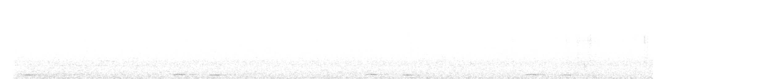 Ninoxe d'Australie (groupe boobook) - ML608971697
