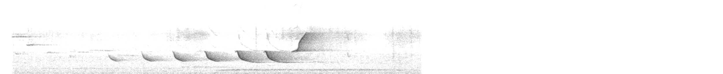 Siffleur occidental - ML608971784