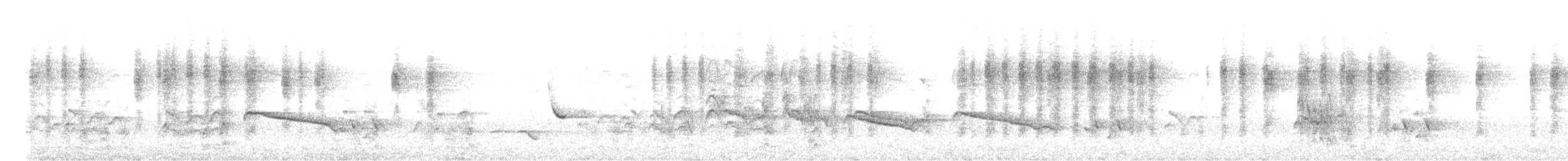 Дідрик смугастощокий (підвид plagosus) - ML608972088