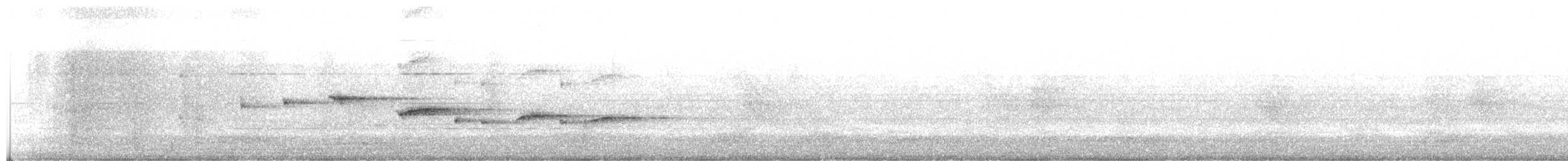 Белогорлая веерохвостка - ML608972224