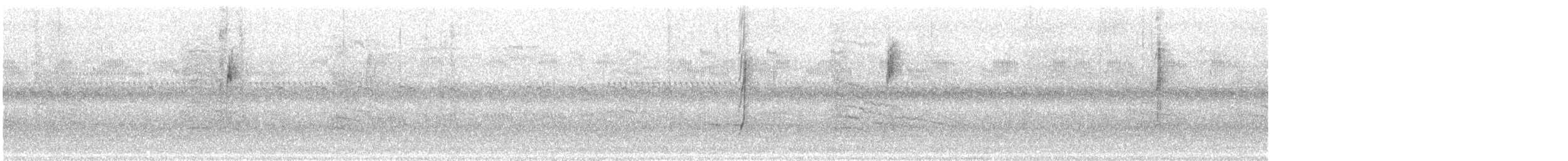 Connecticut Warbler - ML608976738