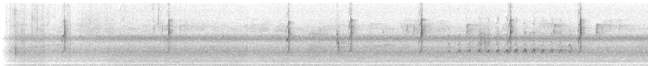 Connecticut Warbler - ML608976741