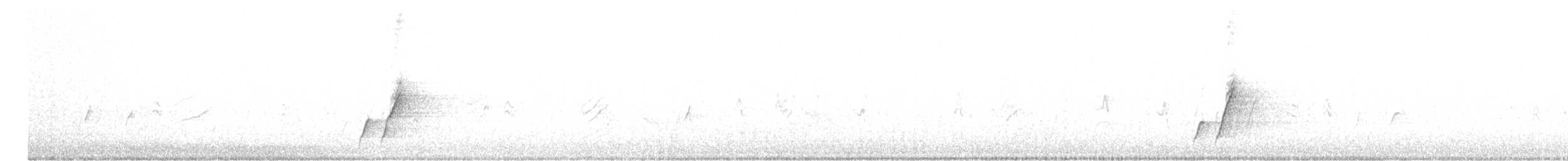 Curve-billed Thrasher (palmeri Group) - ML608977119
