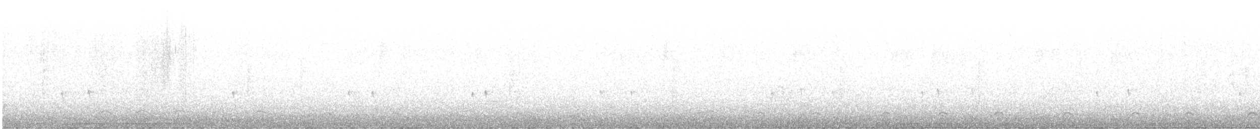 Amerika Çütresi (purpureus) - ML608977500