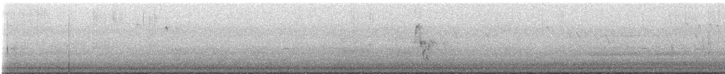 White Wagtail - ML608982163