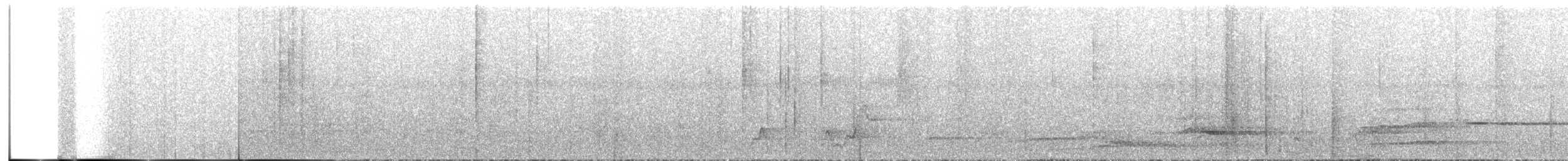 Mégapode de Freycinet (groupe freycinet) - ML608986137