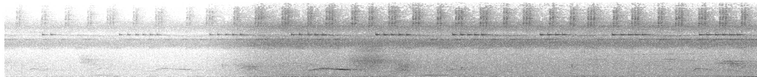 Carpophage de Pinon - ML608988125