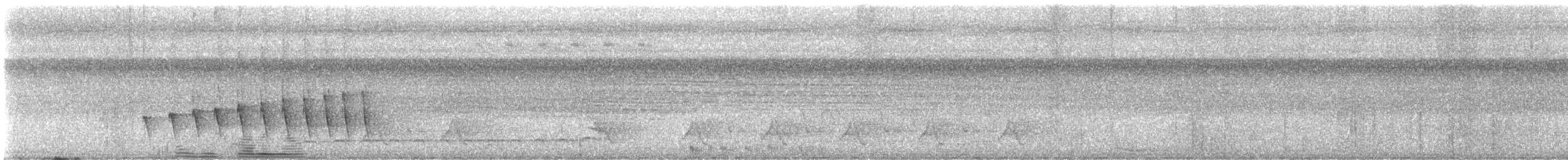 Chocó-Strichelameisenschlüpfer - ML609000102