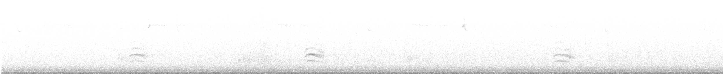 Каролинский поползень (aculeata/alexandrae) - ML609002327