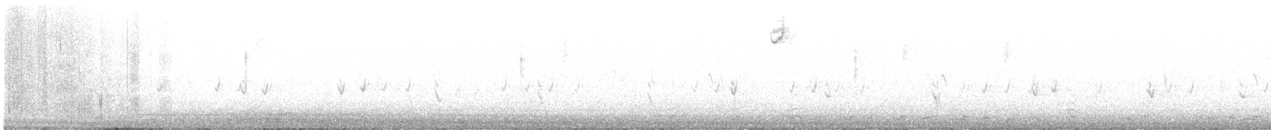 Шишкар ялиновий - ML609002423