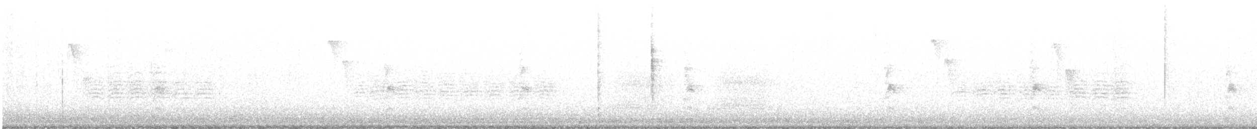 Black-throated Gray Warbler - ML609002480