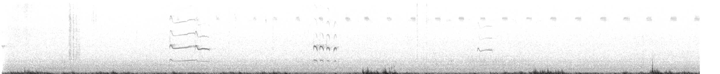 Chorlitejo Culirrojo - ML609004829