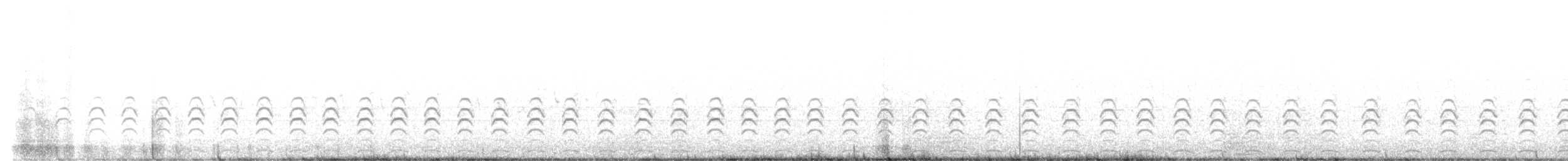 Striped Flufftail - ML609009044