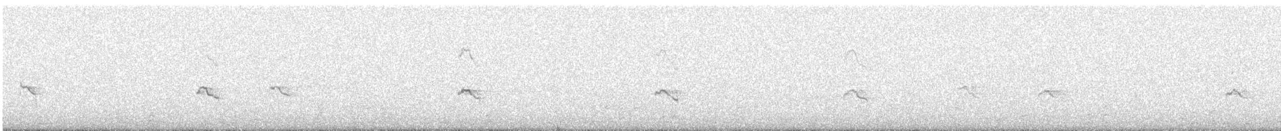 Little Ringed Plover - ML609013641