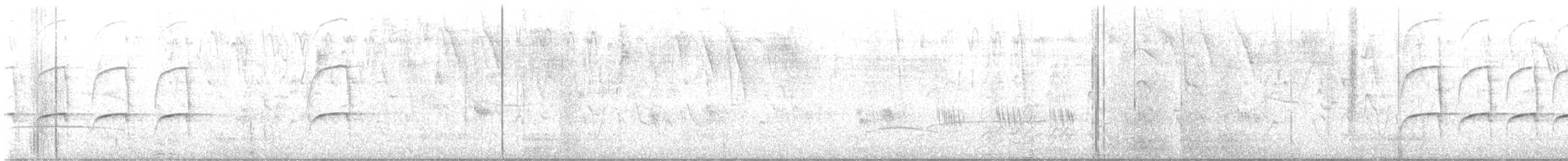 Якамара рудохвоста (підвид melanogenia) - ML609016708