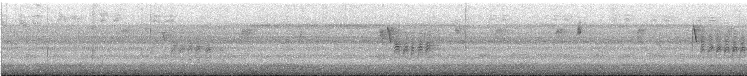 Carolinameise - ML609024009