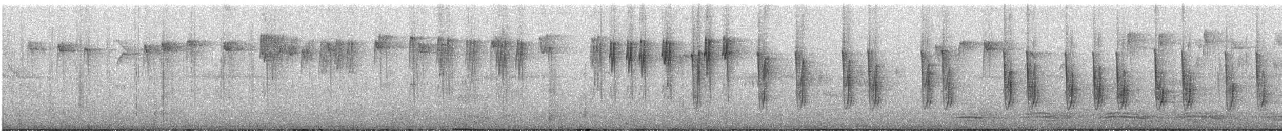 spettmeis - ML609031057