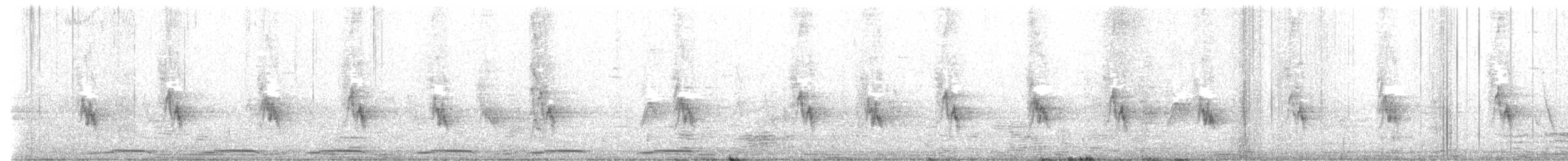 holoubek pikui - ML609032833