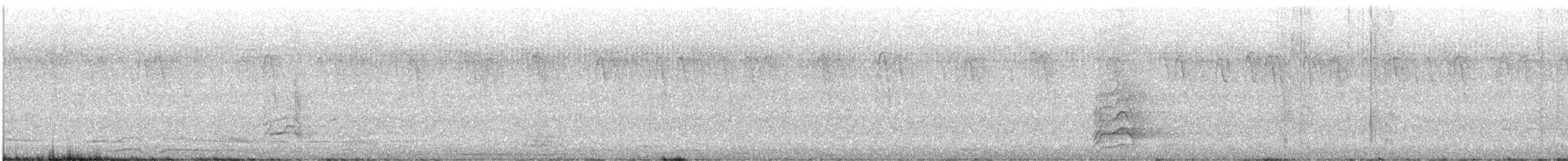 Moluccan Eclectus - ML609042821