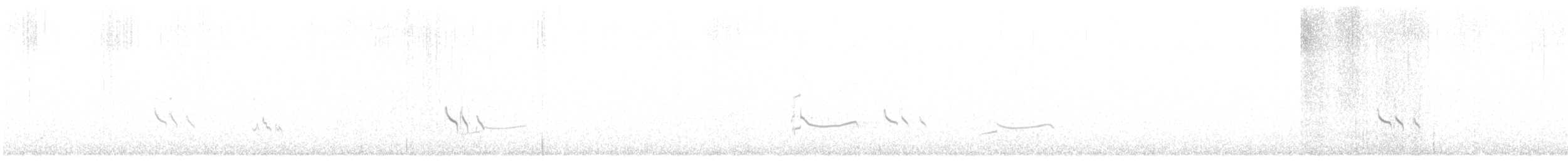 Короткоклювый бекасовидный веретенник - ML609045881