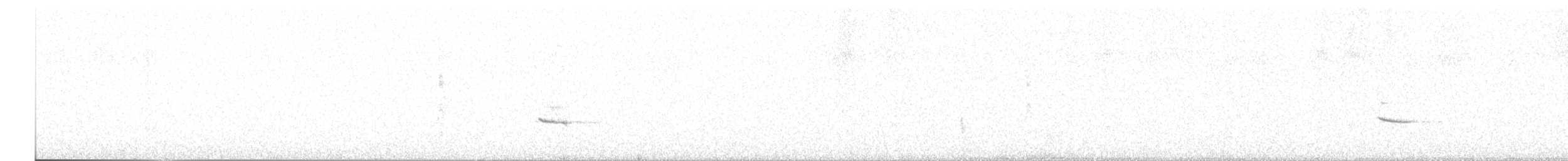 Дрізд-короткодзьоб плямистоволий - ML609047037