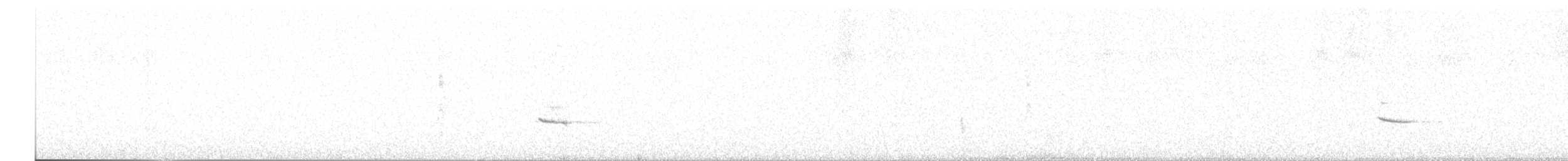 Hermit Thrush - ML609047037