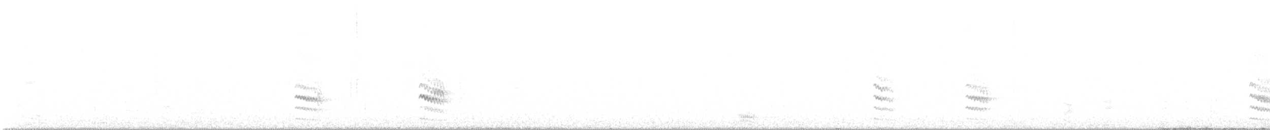 Weißbrustkleiber - ML609052587