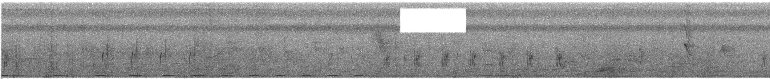 pěnicovec krátkoocasý [skupina brevicaudata] - ML609053011