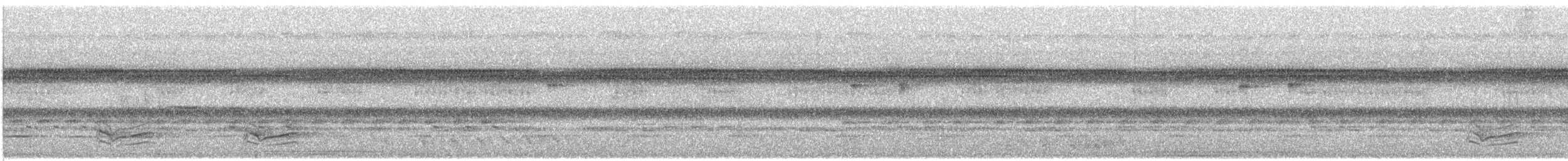 Yellow-browed Camaroptera - ML609053012