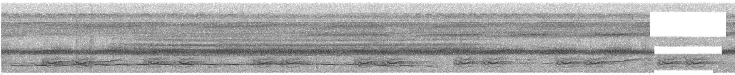 Yellow-browed Camaroptera - ML609053027