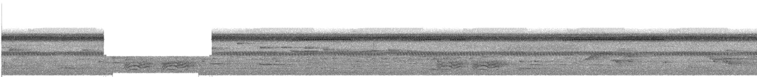 Yellow-browed Camaroptera - ML609053056