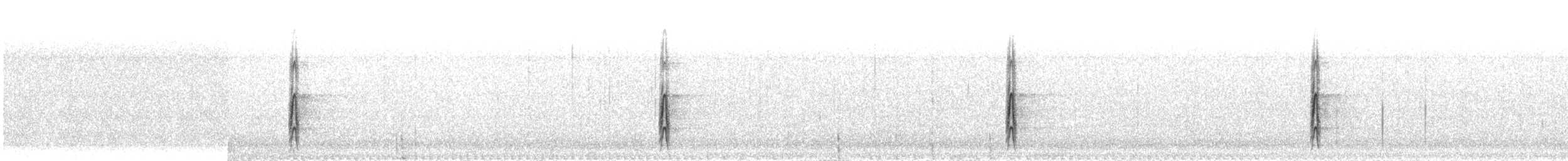 strakapoud bělokřídlý - ML609053068