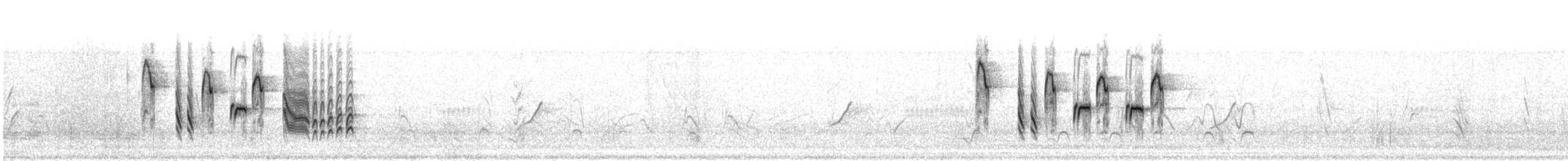 Кропив'янка прудка (підвид minula) - ML609053081