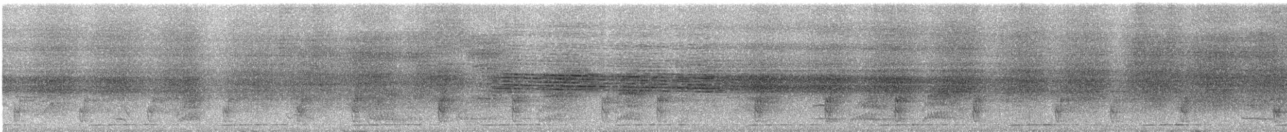 Turuncu Göğüslü Trogon [dulitensis grubu] - ML609053122