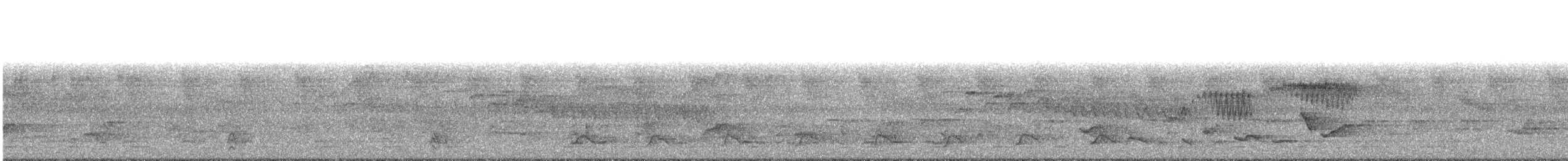 fjelltrosteskvett (isabellae) - ML609053185
