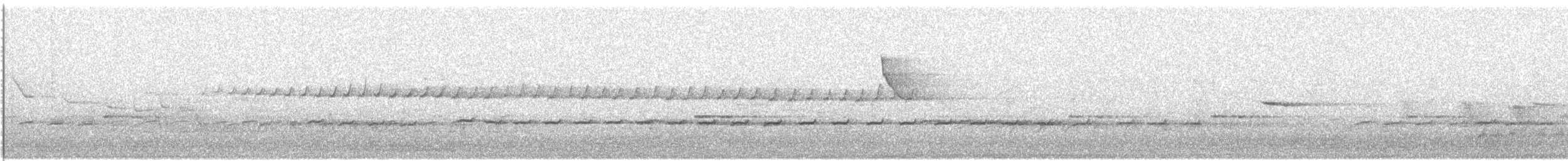 Королаз плямистобокий [група leucophaea] - ML609053207